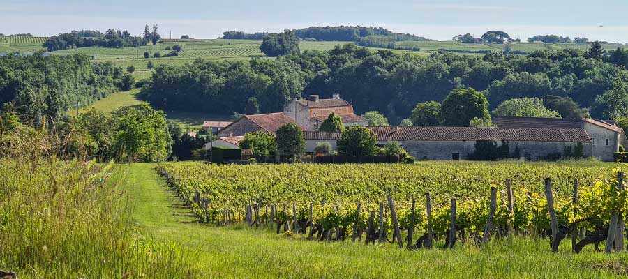 Vue Château en Gironde 33