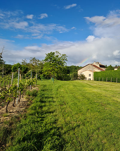 Vignes jardin gîte en Gironde 33