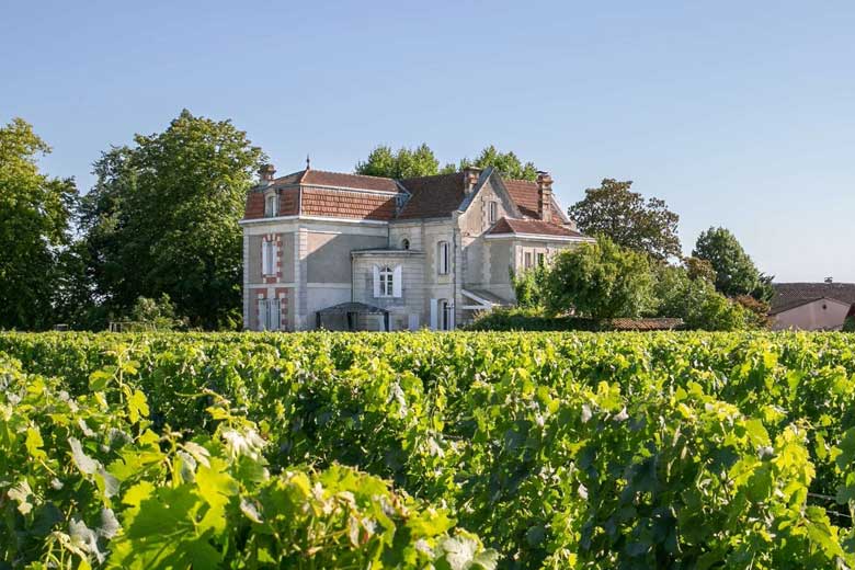 Visite Château Cantenac dégustation Saint Emilion grand cru 33