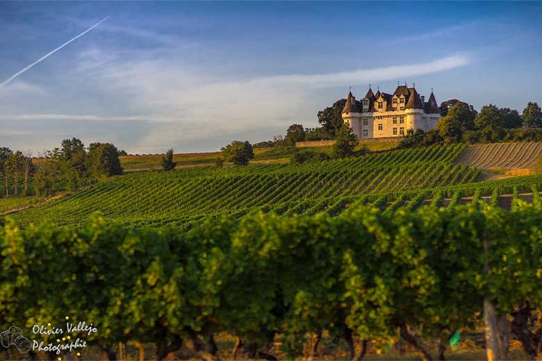 Château Monbazillac Visite historique et dégustation des vins de Monbazillac